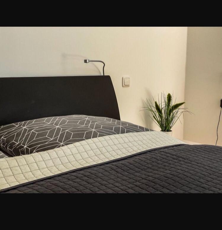Zimmer - Modernes Apartment Mit 45 Qm. Straubing Zewnętrze zdjęcie
