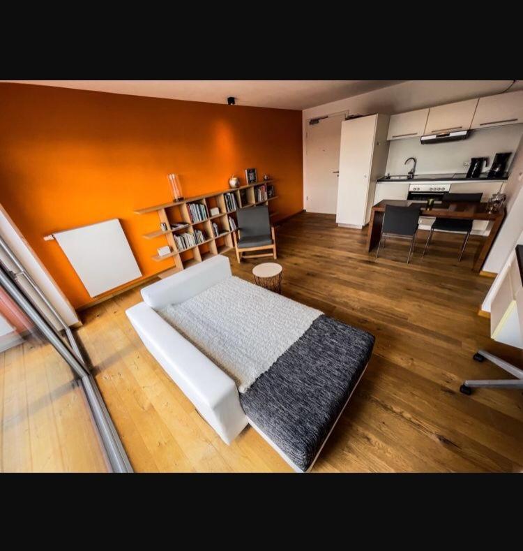 Zimmer - Modernes Apartment Mit 45 Qm. Straubing Zewnętrze zdjęcie